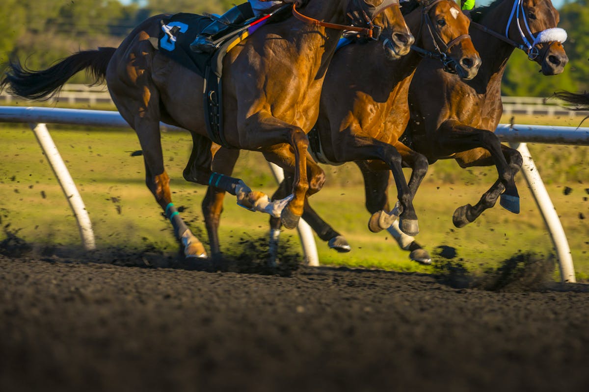 Japan NAR Tips Wednesday 31st August 2022 Sportsbet io Japan NAR Tips Wednesday 31st August 2022 Sportsbet io